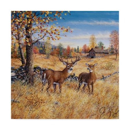 Jeff Tift 'Colors Of Autumn' Canvas Art,18x18